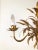 Metal Italian Gilt Metal Candelabra Floor Lamp with Sheaf of Wheat Motif, 1963 For Sale - Image 7 of 18