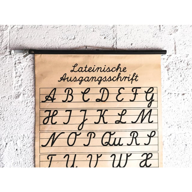 Mid-Century Modern Mid-Century School Wall Chart with Latin Source Script, 1950s For Sale - Image 3 of 6