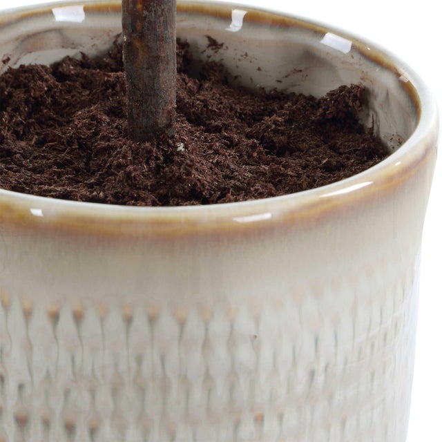 2020s Solea Olive Accent & Textured Vase For Sale - Image 5 of 5