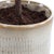 2020s Solea Olive Accent & Textured Vase For Sale - Image 5 of 5