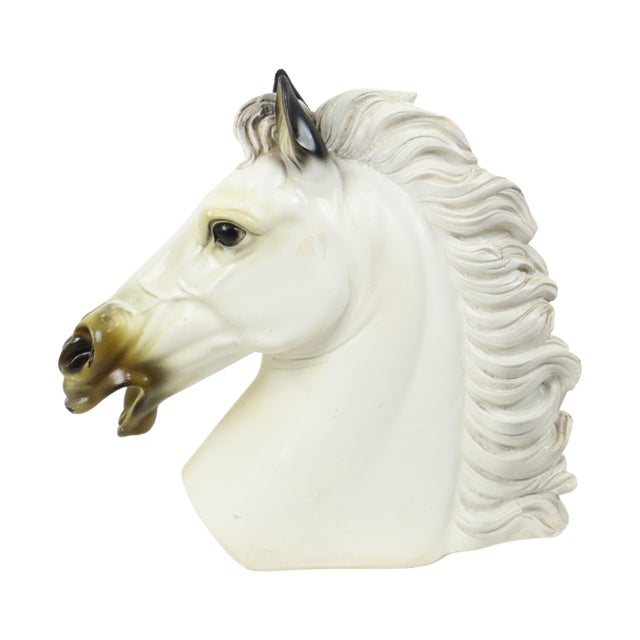 Large Classical Greek Style Parthenon Horse Bust in Plaster For Sale - Image 14 of 17