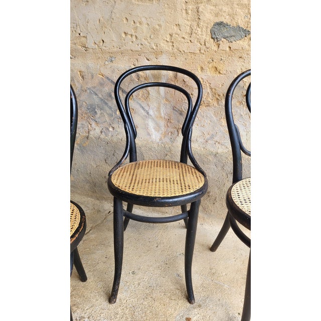 Wood Art Nouveau Chairs in Bent Wood by Michael Thonet, 1890s, Set of 4 For Sale - Image 7 of 12