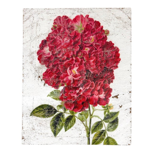 Red Crested Flower - Hand Textured Red Flower For Sale