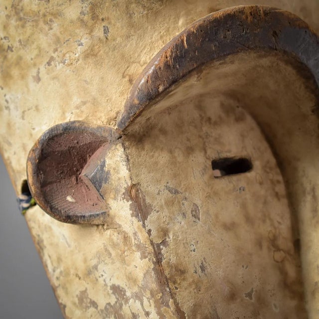 Wood Early 20th Century Fang Mask Ngil Society Gabon For Sale - Image 7 of 10