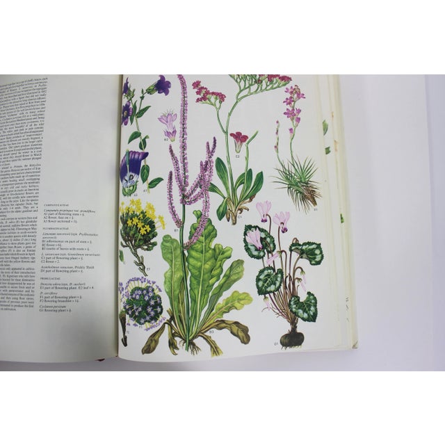 Textile 1970 Wildflowers of the World Hardcover Book Wild Flowers Botanical Painted Plants Colorful Flower For Sale - Image 7 of 12