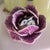Nymphenburg purple cabbage with bunny figurine // springtime decor // Easter // rabbit figurine // luxury decor // collectible For Sale In Kansas City - Image 6 of 14