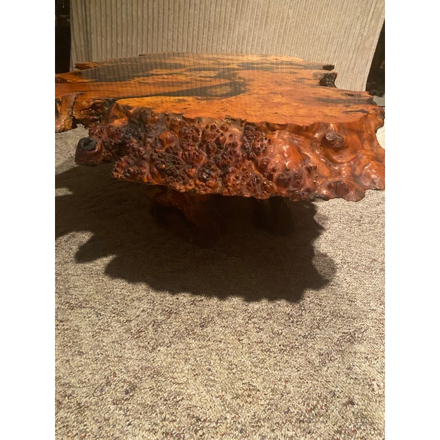 Vintage Redwood Burl Tree Trunk Coffee Table – Sculptural Organic Modern Design For Sale - Image 4 of 9