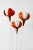 Mid-Century French Buds Floor Lamp, 1950s For Sale - Image 9 of 18