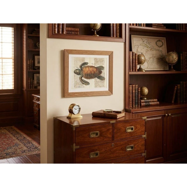 Vintage Framed Sea Turtle Botanical Style Art Print For Sale - Image 10 of 12