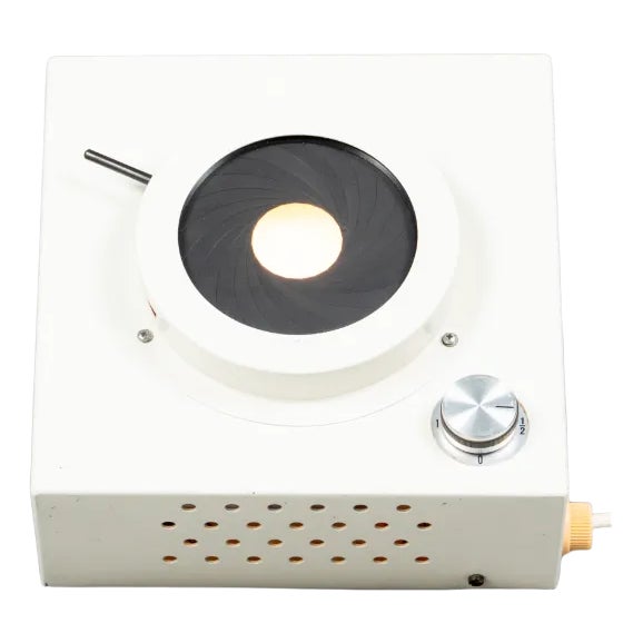 German Iris Lamp, 1980s For Sale