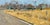 Crook Colorado by Clyde Steadman | Oil Painting of a rural landscape with a road and buildings For Sale
