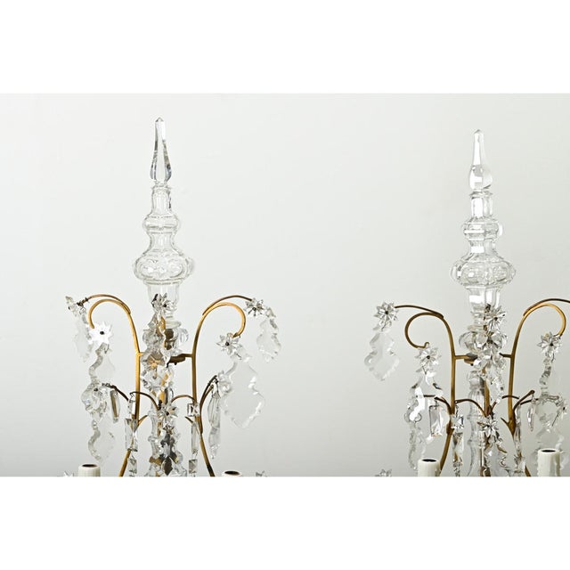 Large French Brass & Crystal Girandole Lamps - A Pair For Sale - Image 10 of 12