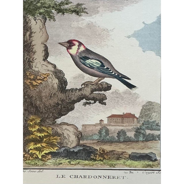 This exquisite set of four vintage bird prints is a masterful nod to 18th-century French naturalist illustrations. The...