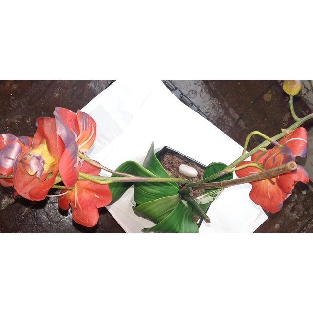 A study in vivid color and structural grace, this architectural orchid composition redefines the modern workspace through...