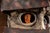 Gray Late 20th Century Eyehole Peepers | Mixed Media Surrealist Sculpture For Sale - Image 8 of 10