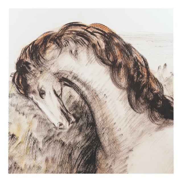Domenico Purificazione, Horse, 1980s, Gouache For Sale