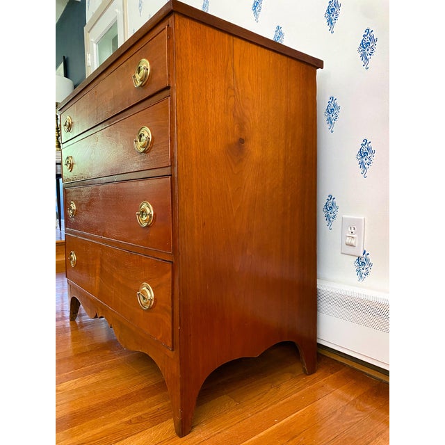 Brown Antique Early 1800s Southern Neoclassical Mahogany Chest of Drawers, Likely Virginia For Sale - Image 8 of 14