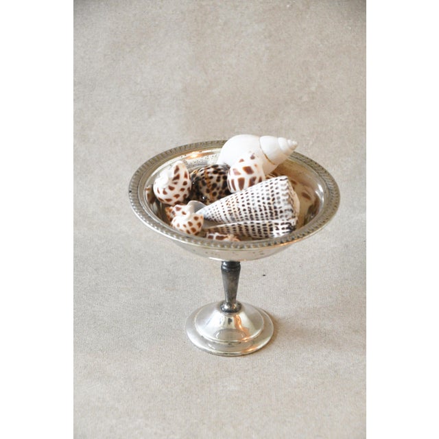 A footed silverplate compote with a wide, shallow bowl on a turned stem. Fill it with fruit or sweets on a buffet, or...