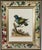 Mid 18th Century !8th-Century Engraved Prints of Exotic Birds by George Edwards With Decoupage Frames (12) For Sale - Image 5 of 14