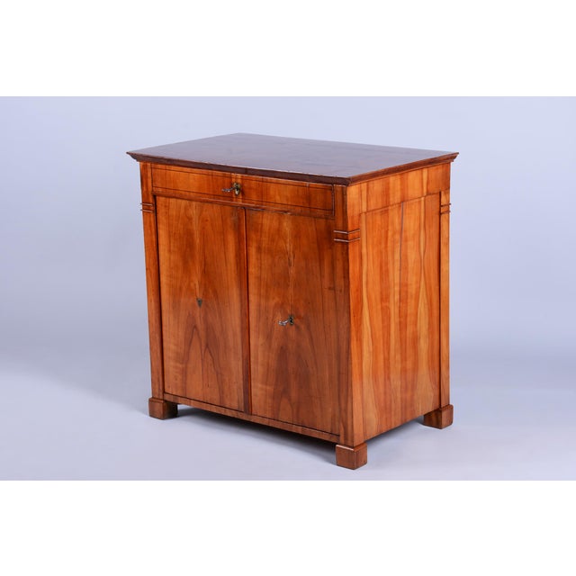 Biedermeier Side Cabinet in Cherry Wood, Czech, 1830s For Sale - Image 16 of 16
