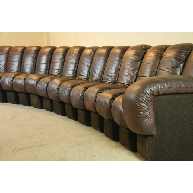 DS600 Non-Stop Snake Sofa in Brown Leather by Ueli Berger for de Sede, 1970s, Set of 16 For Sale - Image 6 of 18