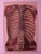DC Gallet, 10 The Body of Man by Dr. Galet, 1841, Lithographs For Sale - Image 8 of 11