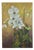 Patrice Guiraud, Orchid, 2025, Oil on Canvas For Sale