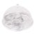 Artifacts Trading Company Marble Plate with Acrylic Dome For Sale