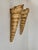 Vintage Shell Wall Sconces in Beige Fiberglass, France, 1960, Set of 2 For Sale - Image 10 of 10