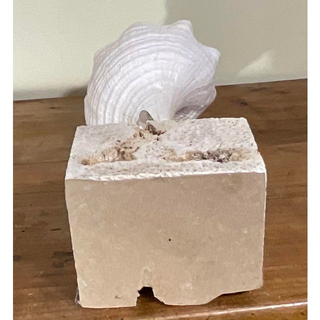 Handcrafted Marine & Mineral Sculpture by Joseph Malekan For Sale - Image 14 of 15