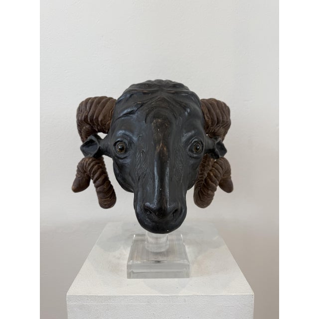 Northern European Artist, Ram's Head, 19th Century, Wood For Sale - Image 12 of 14