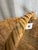 French Large Harvest Basket For Sale - Image 4 of 4