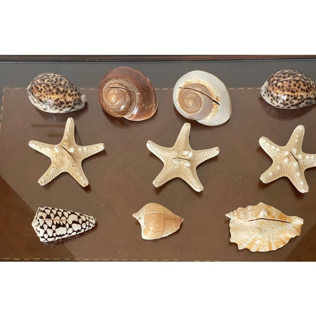 1960s 9 PCS Vintage Coastal Sea Shell Place Cards Holders for Weddings, Parties For Sale - Image 5 of 6