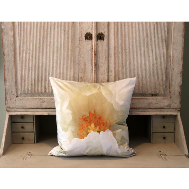 White Tree Peony Bloom in Rodin Museum Garden Paris Photo Pillow For Sale - Image 11 of 13