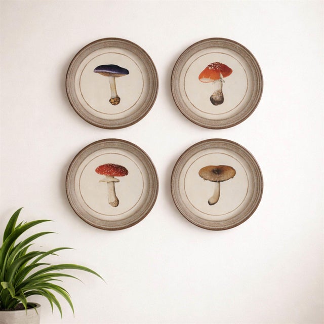 Bring a touch of woodland whimsy to your walls with the Framed Mushroom Print Set. Inspired by vintage botanical...