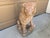 Vintage Italian Provincial Cast Concrete Lion Garden Statue With Weathered Terracotta Finish For Sale - Image 9 of 12