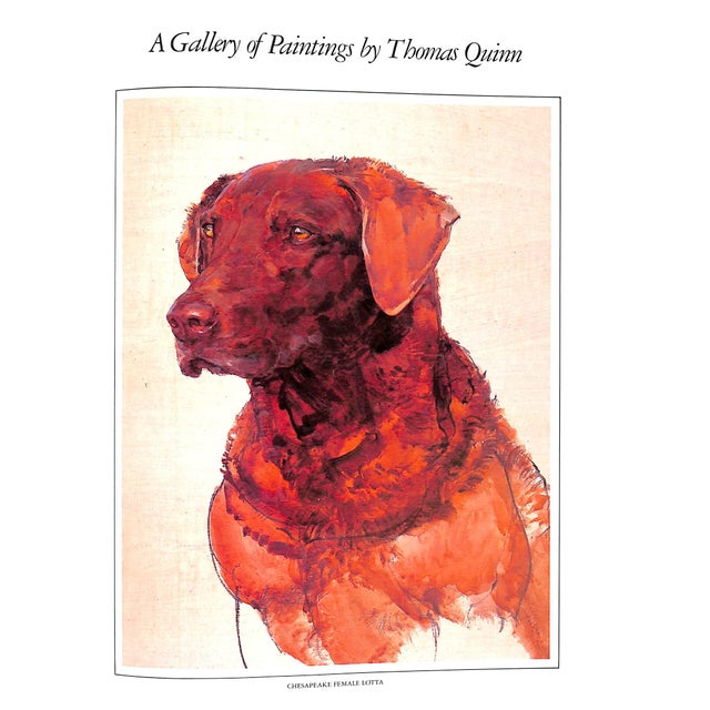 "The Working Retrievers" Book 1983 Quinn, Tom For Sale - Image 10 of 12