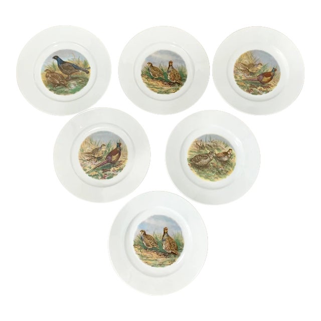 10" Vintage Wildlife Pheasant Porcelain Salad Plates by Heinrich Germany - Set of 6 For Sale