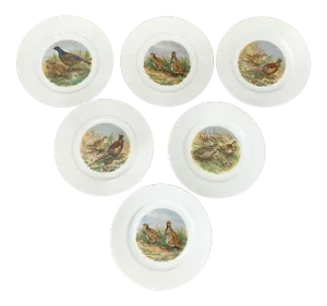 10" Vintage Wildlife Pheasant Porcelain Salad Plates by Heinrich Germany - Set of 6