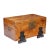 Brown Chinese Camphor Wood Trunk on Ebonized Hardwood Stand, 1820 For Sale - Image 8 of 12