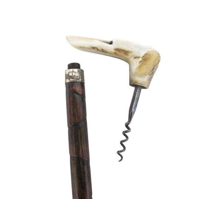 Victorian Whippet Greyhound Dog Carved Handle Corkscrew Gadget Walking Stick For Sale - Image 4 of 10