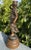 Art Nouveau “Le Baiser” by Moreau, French Sculptural Statue, 19th Century For Sale - Image 3 of 11