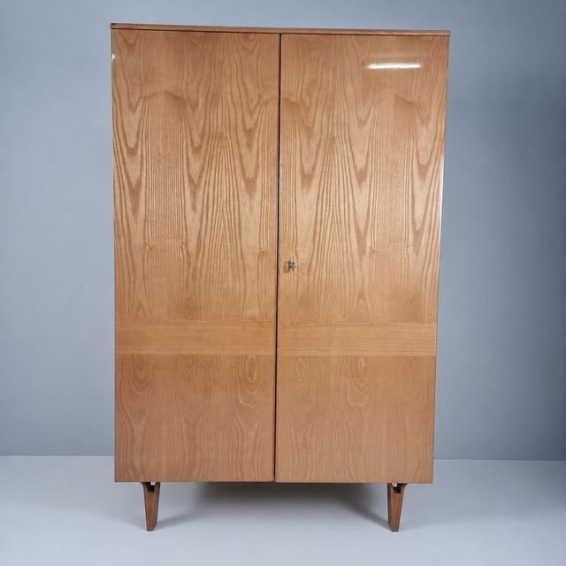 Vintage Wardrobe by Francisek Mezulanik, 1960s For Sale - Image 12 of 12
