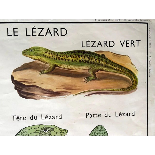 Up for sale is this delightful - and educational mid century French two-sided classroom poster from Rossignol, one of two...
