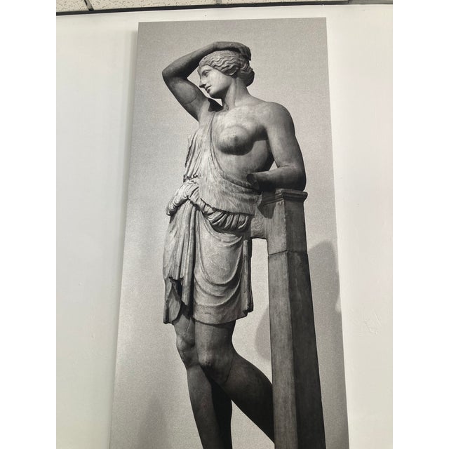 William Gray Harris Photograph on Canvas “Wounded Amazon” For Sale - Image 4 of 8