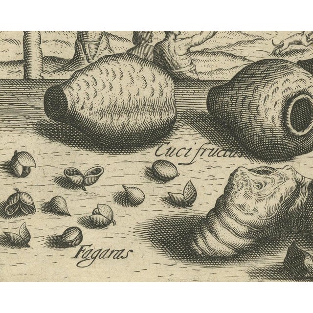 17th Century De Bry, Treasures of the Tropics: Lac, Lancas, and Fagaras, Engraving, 1601 For Sale - Image 5 of 7