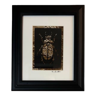 Buried Relic Beetle (Mixed Media Print) For Sale