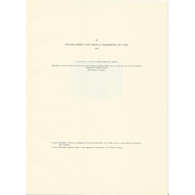 Giorgio Morandi, Still Life with Pine Cone, 1922-1957, Lithograph For Sale - Image 3 of 5