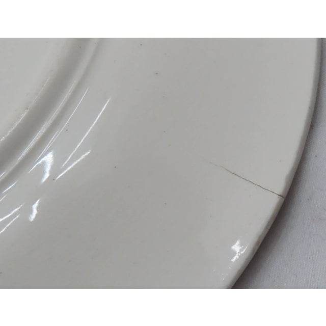 Fine Quality Early 1900s Antique Beehive Mark Austrian Majolica Fish Motif Plates - Set of 7 For Sale - Image 12 of 13