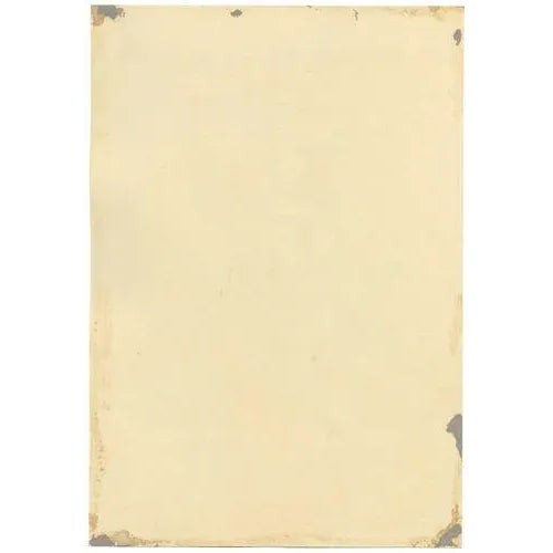 E.B.R., Cinquefoils (Potentilla) Flower, 1834, Watercolour For Sale - Image 3 of 4